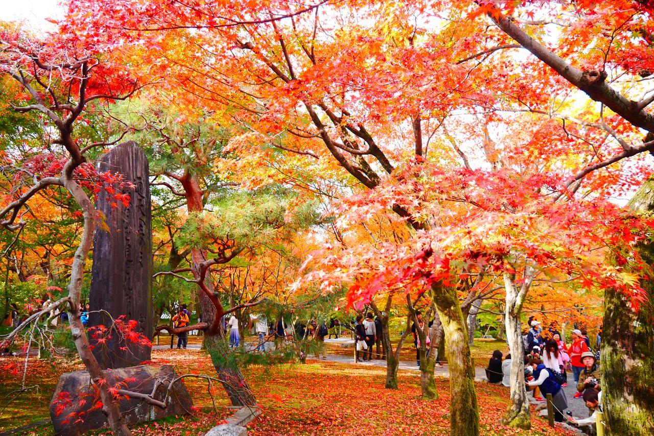 Japaning Hotel Libre Tofukuji Kyōto Esterno foto