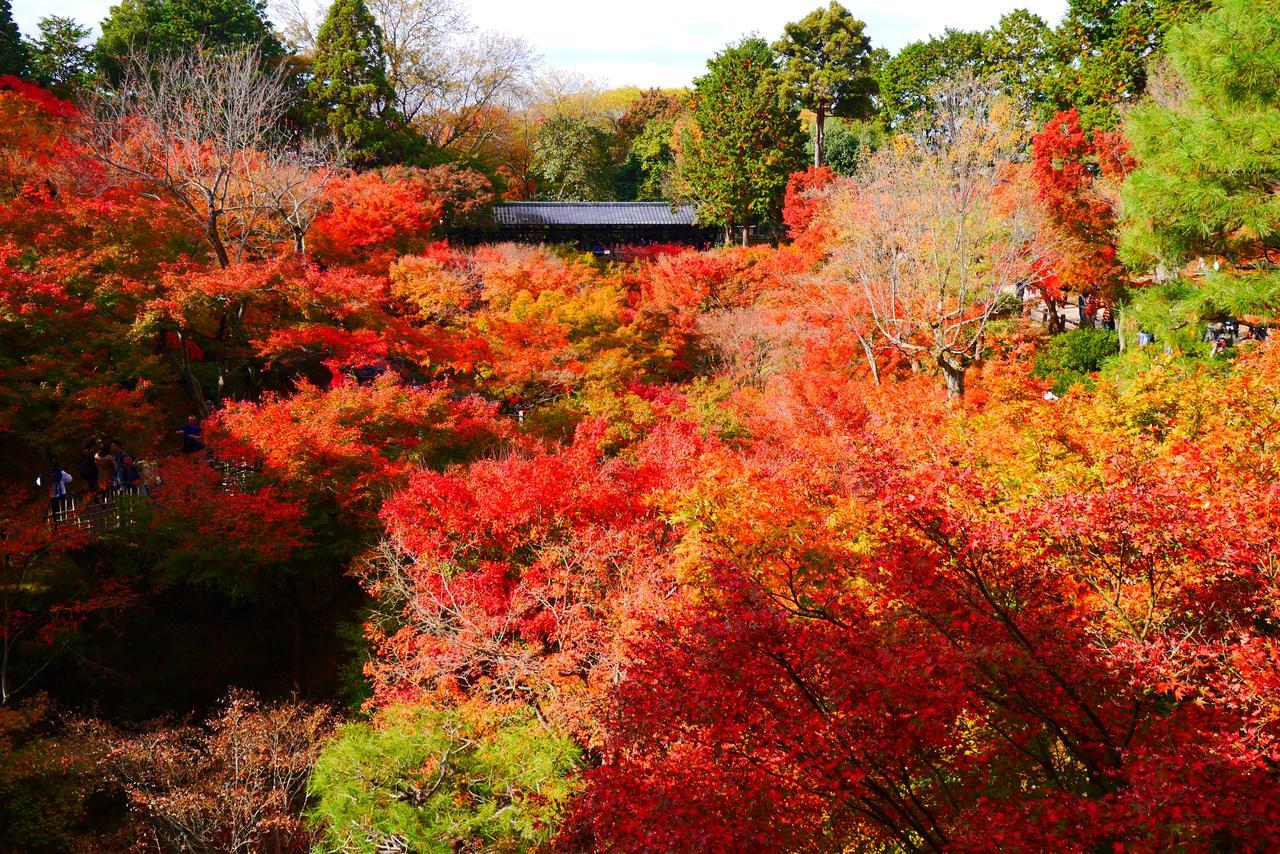 Japaning Hotel Libre Tofukuji Kyōto Esterno foto